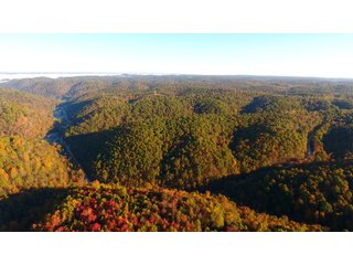 Property photo 27 - LAND AUCTION - 1,682+/- ACRES OFFERED IN 17 TRACTS IN LEWIS & GREENUP COUNTIES, KENTUCKY